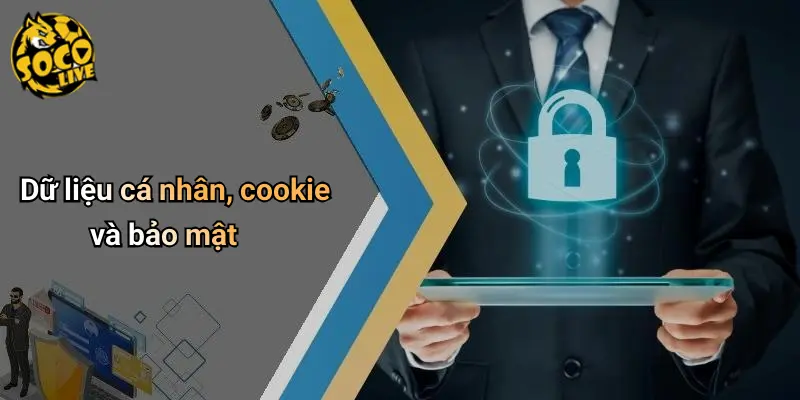 Điều Khoản Điều Kiện