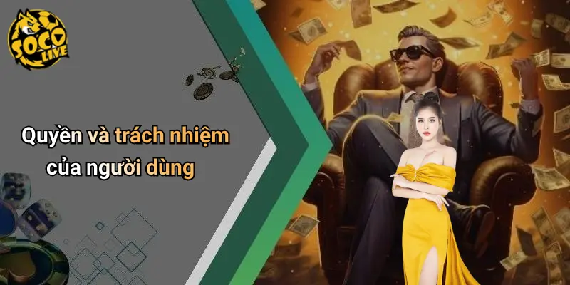 Điều Khoản Điều Kiện
